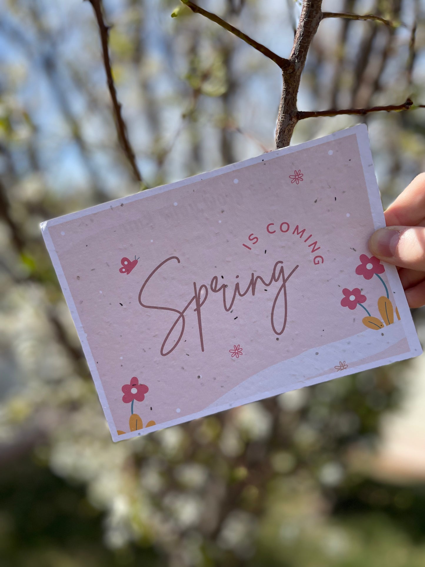 Spring is coming