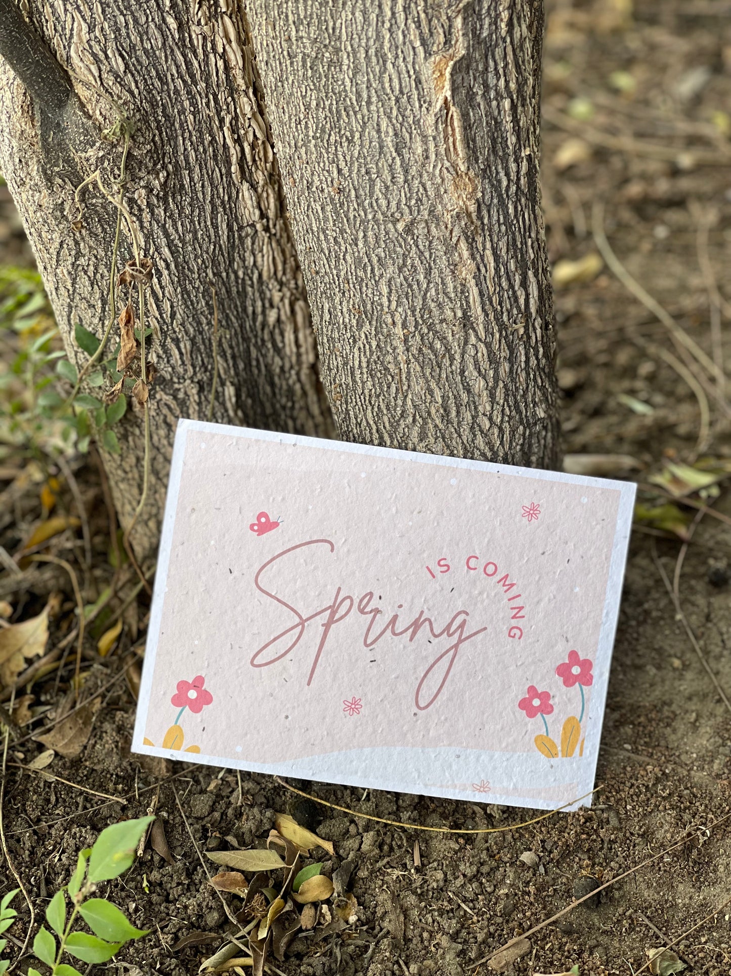 Spring is coming