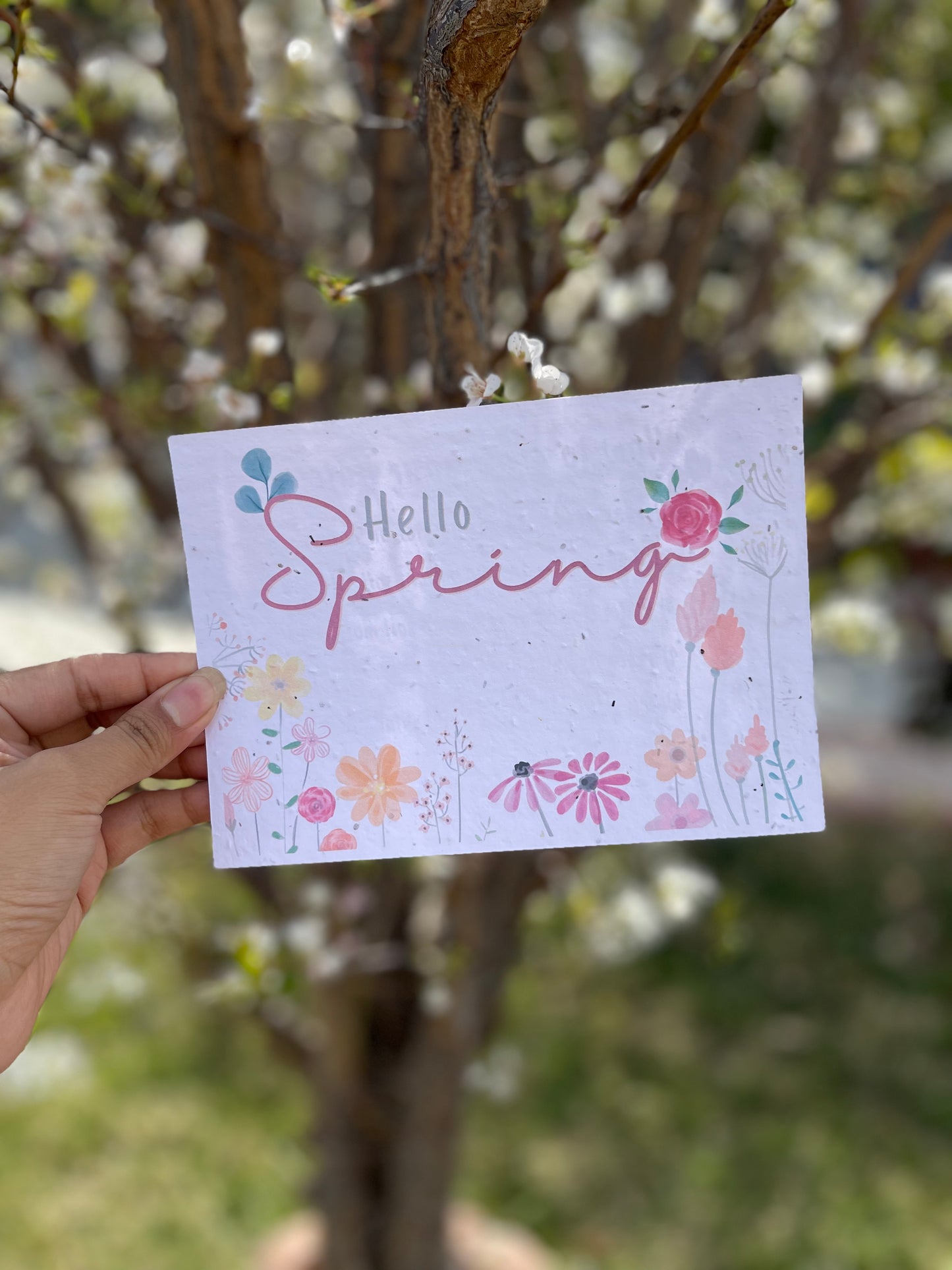 Hello Spring!